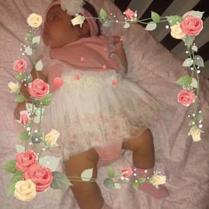 Meet your Posher, Iris